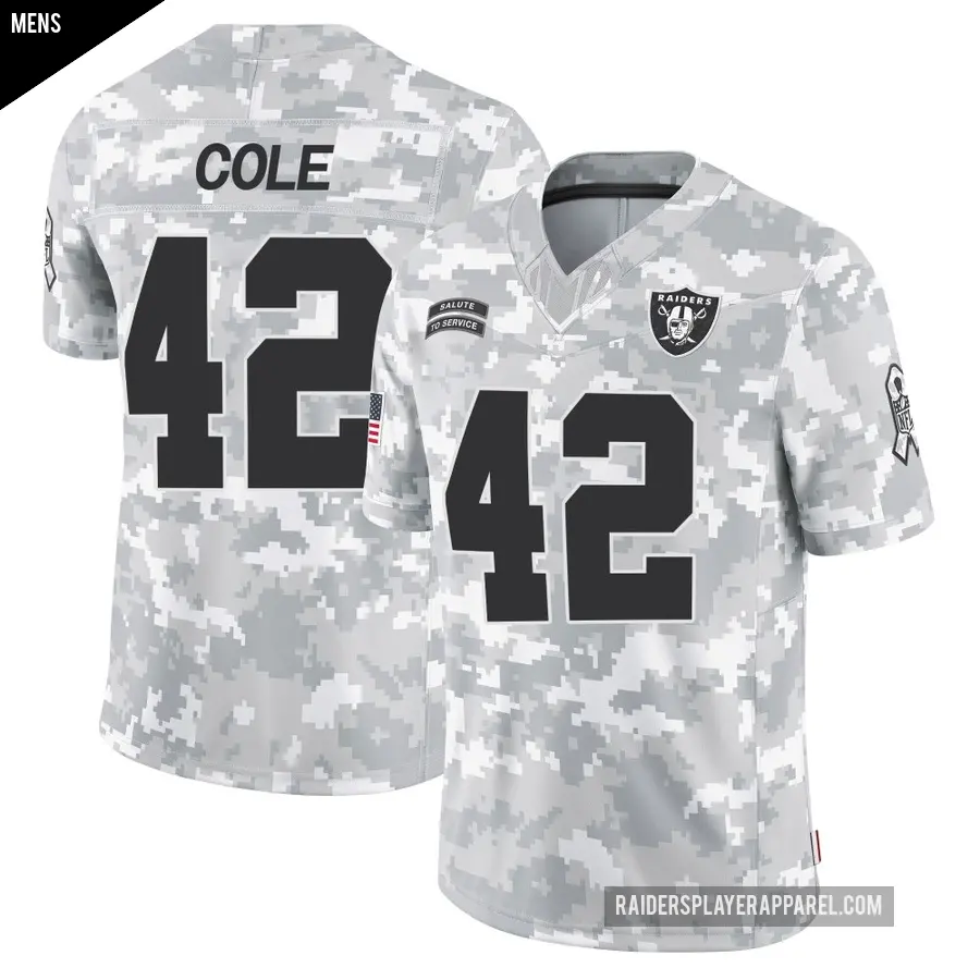 Men's Las Vegas Raiders ＃42 Qwynnterrio Cole Arctic Camo Limited 2024 Salute to Service Jersey