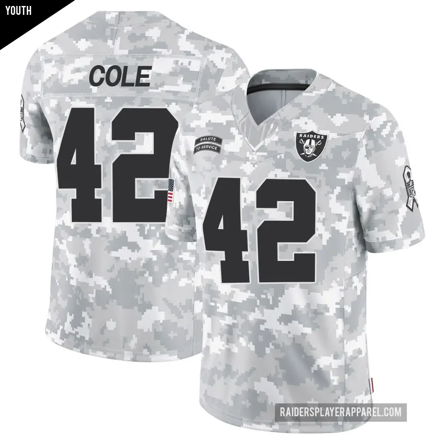 Youth Las Vegas Raiders ＃42 Qwynnterrio Cole Arctic Camo Limited 2024 Salute to Service Jersey