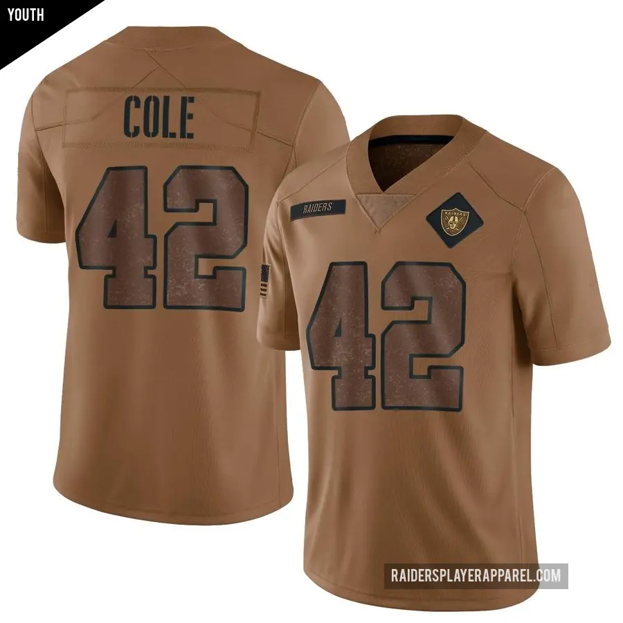 Youth Las Vegas Raiders ＃42 Qwynnterrio Cole Brown Limited 2023 Salute To Service Jersey