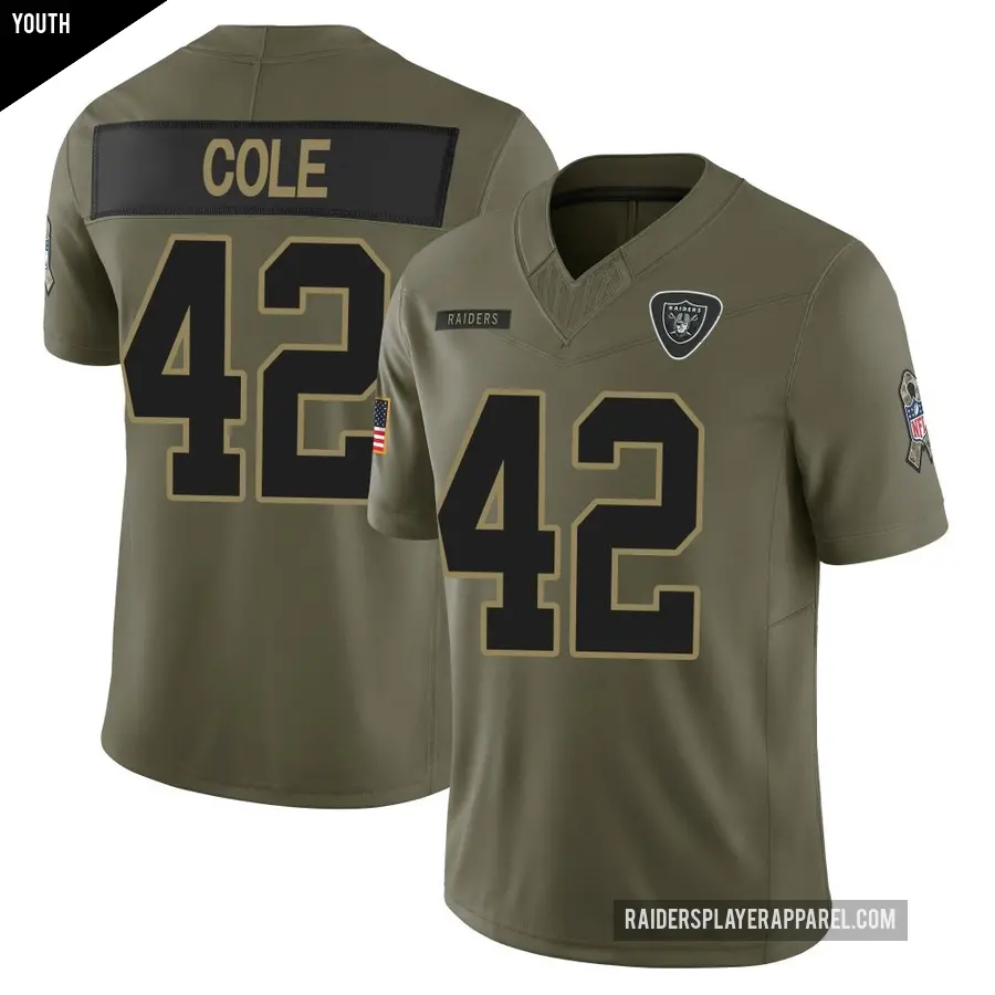 Youth Las Vegas Raiders ＃42 Qwynnterrio Cole Olive Limited 2025 Salute to Service Jersey